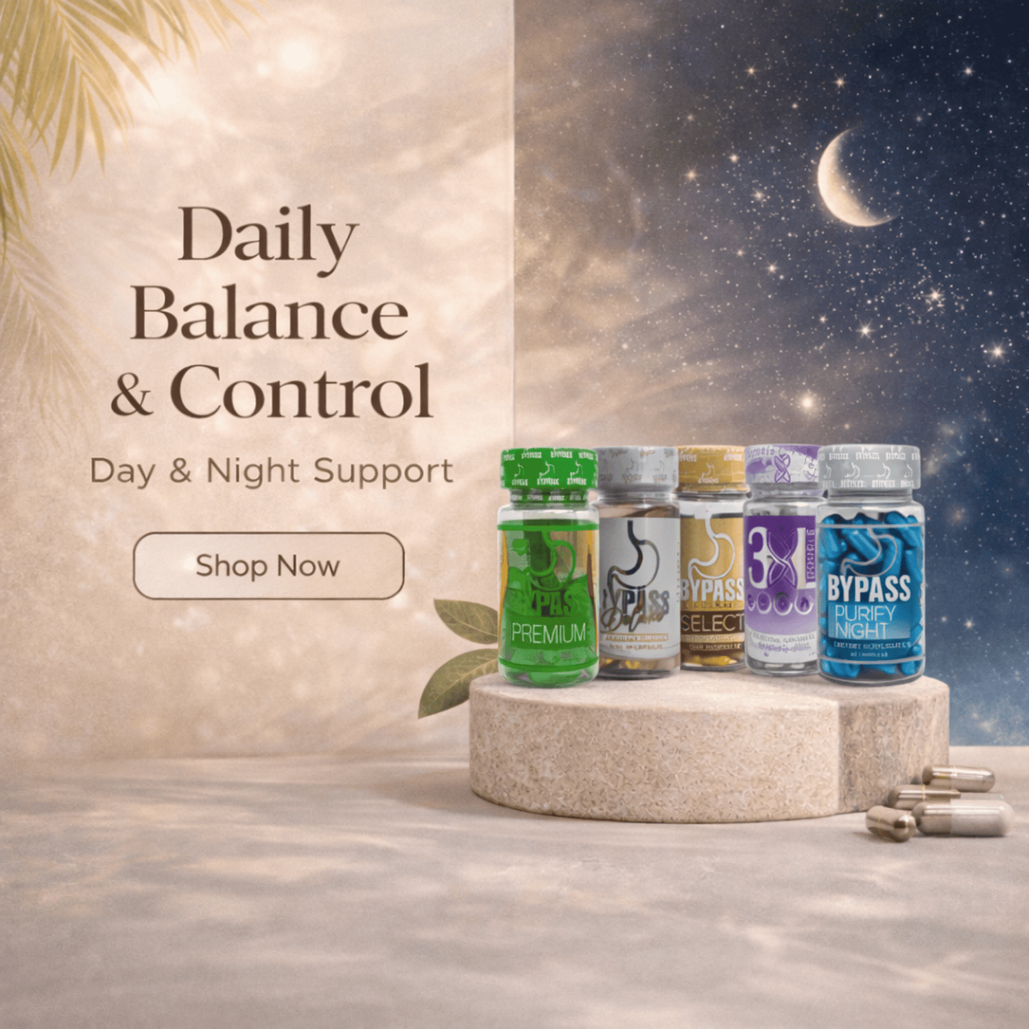 Daily Balance & Control - DendasStore