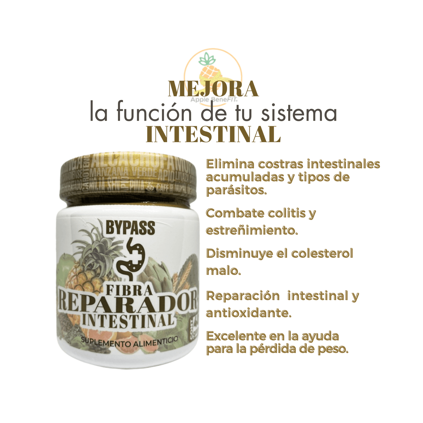 Premium Intestinal Repair Fiber by Apple BeneFIT® – 400g - DendasStore