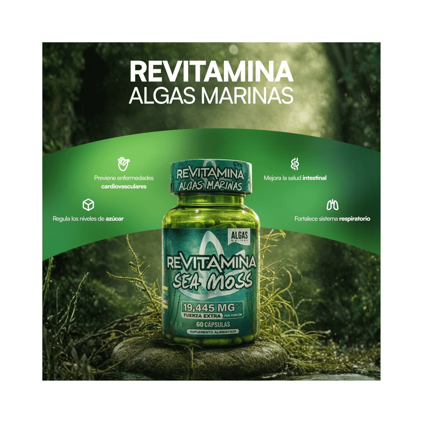 Revitamina Sea Moss – Ultra Powerful Mineral Supplement | Apple BeneFit® - DendasStore