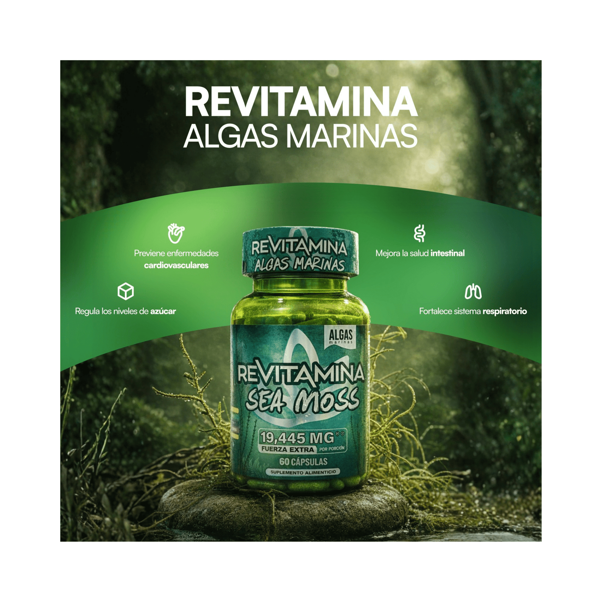 Revitamina Sea Moss – Ultra Powerful Mineral Supplement | Apple BeneFit® - DendasStore