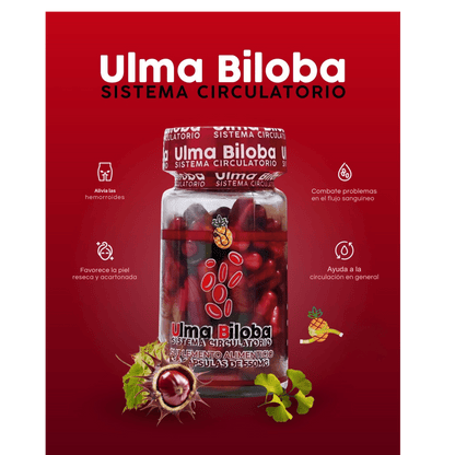 Ulma Biloba Circulatory Support | Apple BeneFit® – 60 Capsules - DendasStore