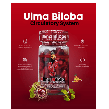 Ulma Biloba Circulatory Support | Apple BeneFit® – 60 Capsules - DendasStore